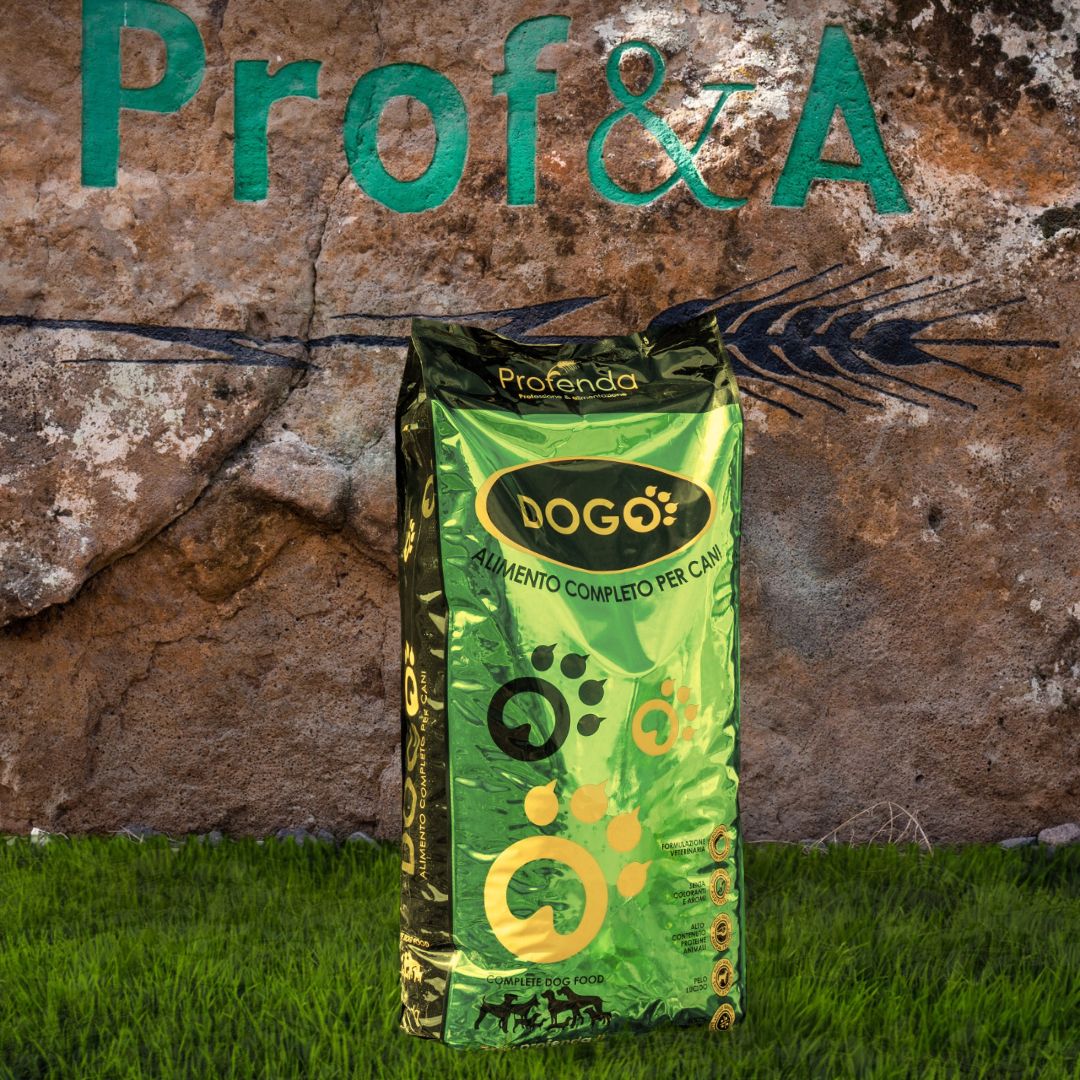 Dogo Acti First