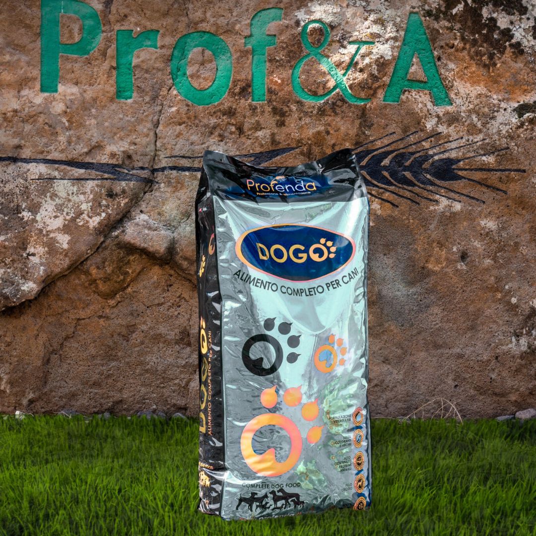 Dogo Acti Fish
