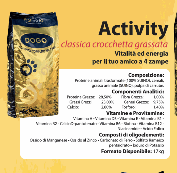 Activity - immagine 5