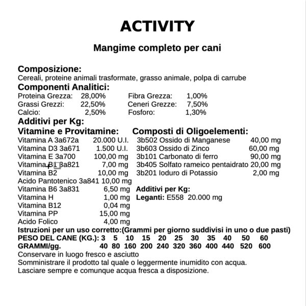 Activity - immagine 5