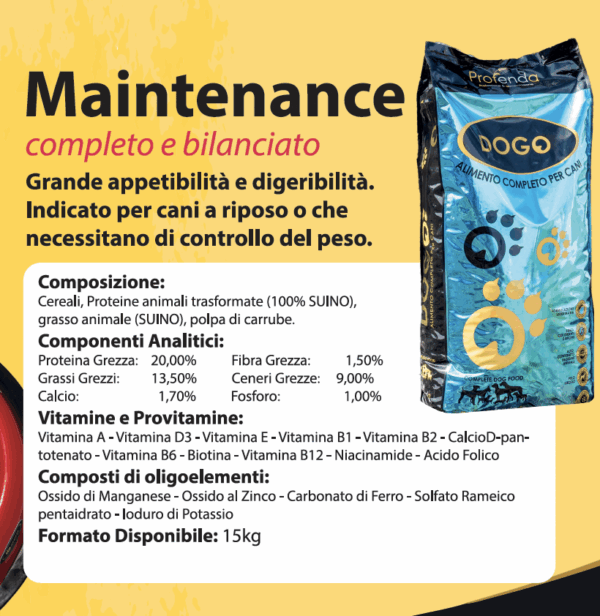 Maintenance - immagine 5
