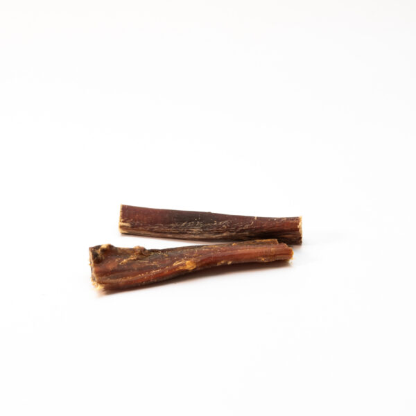 Verga di Toro